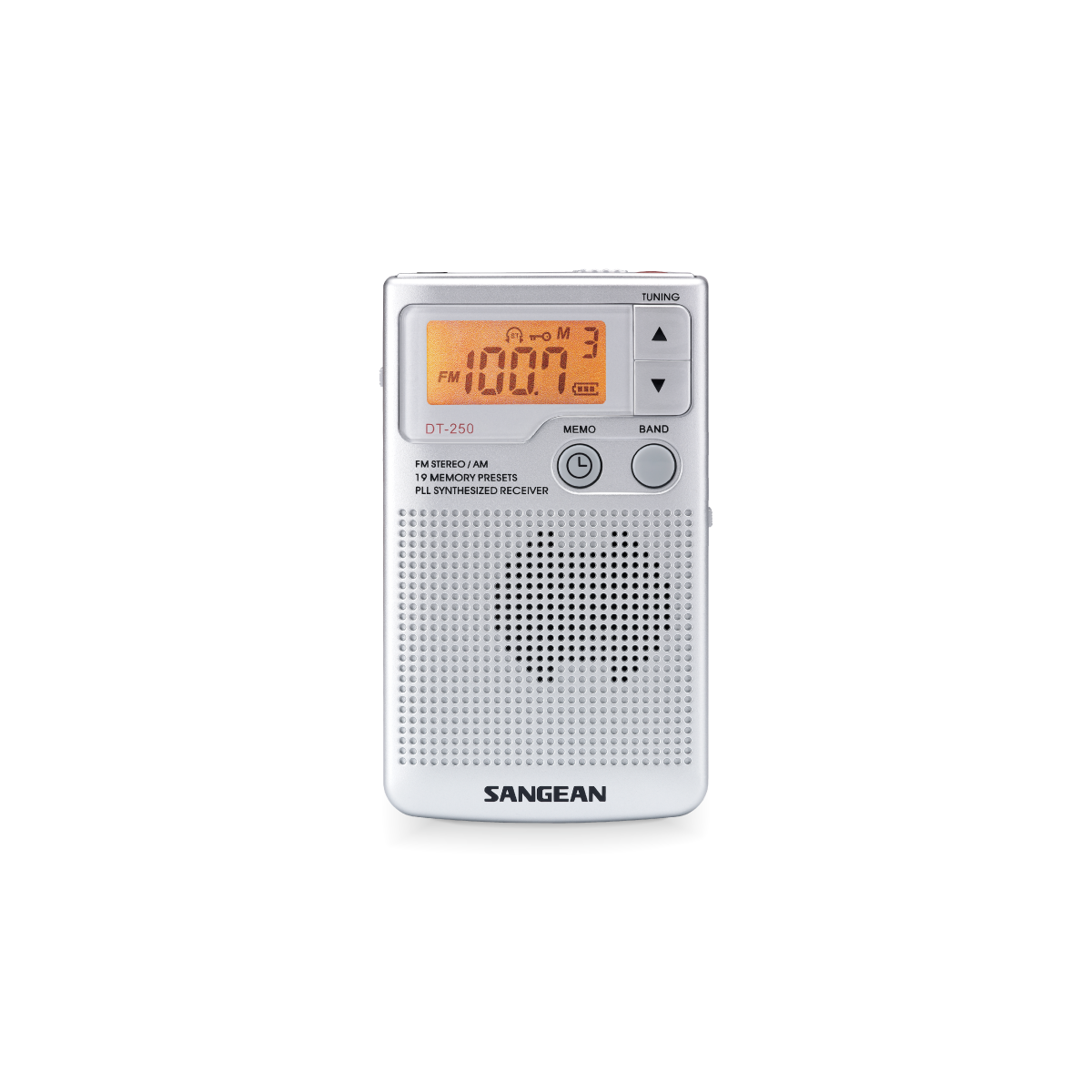  DT-250