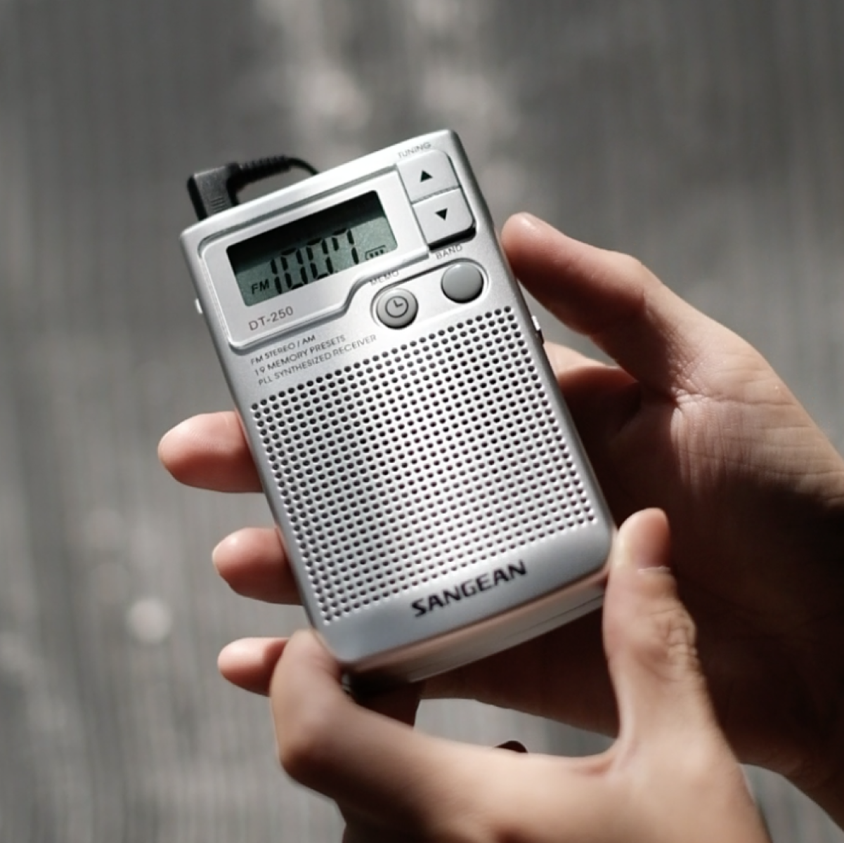  DT-250