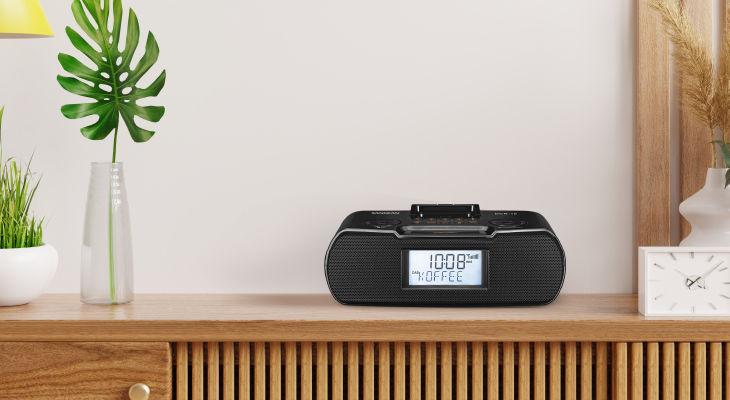 DCR-10