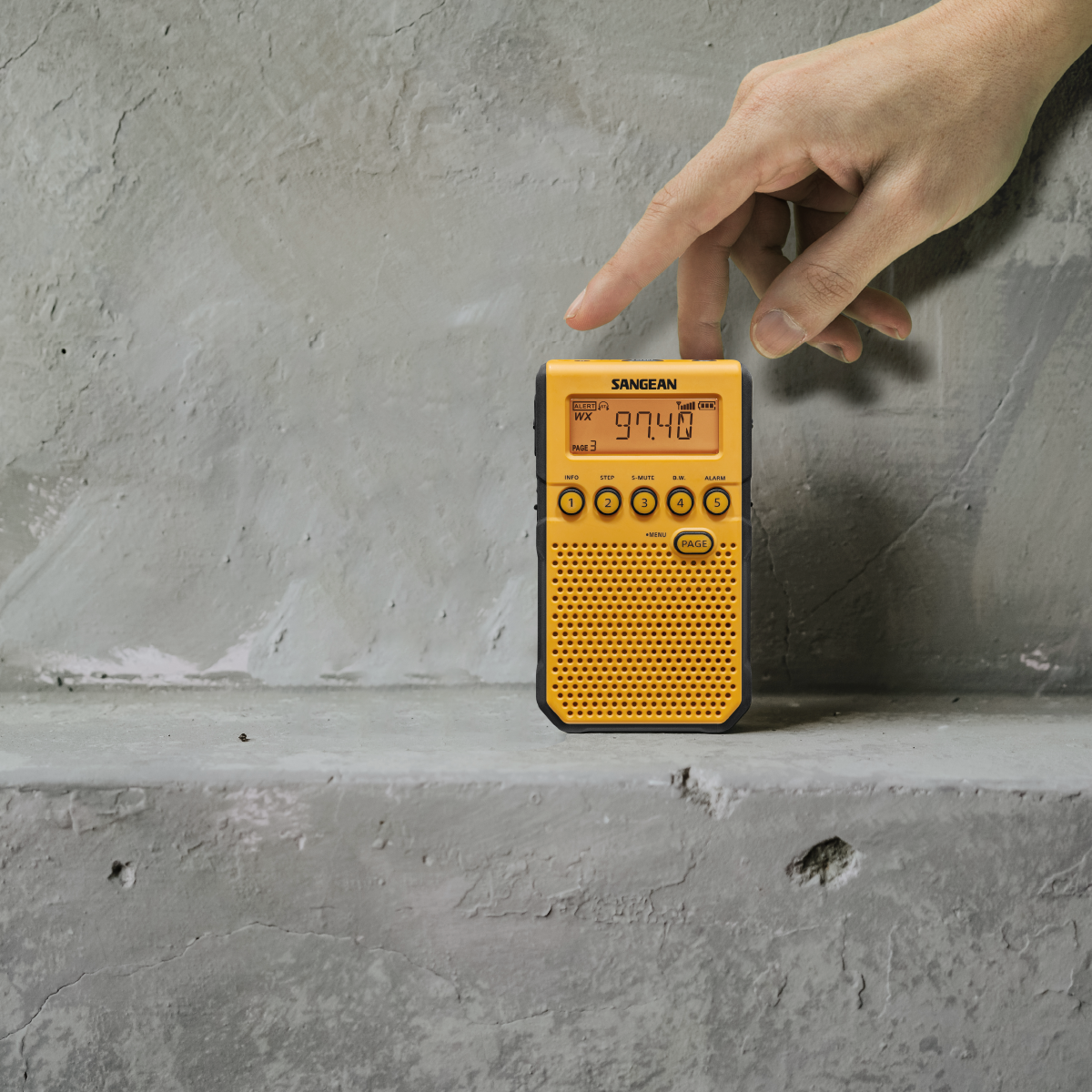 DT-800
