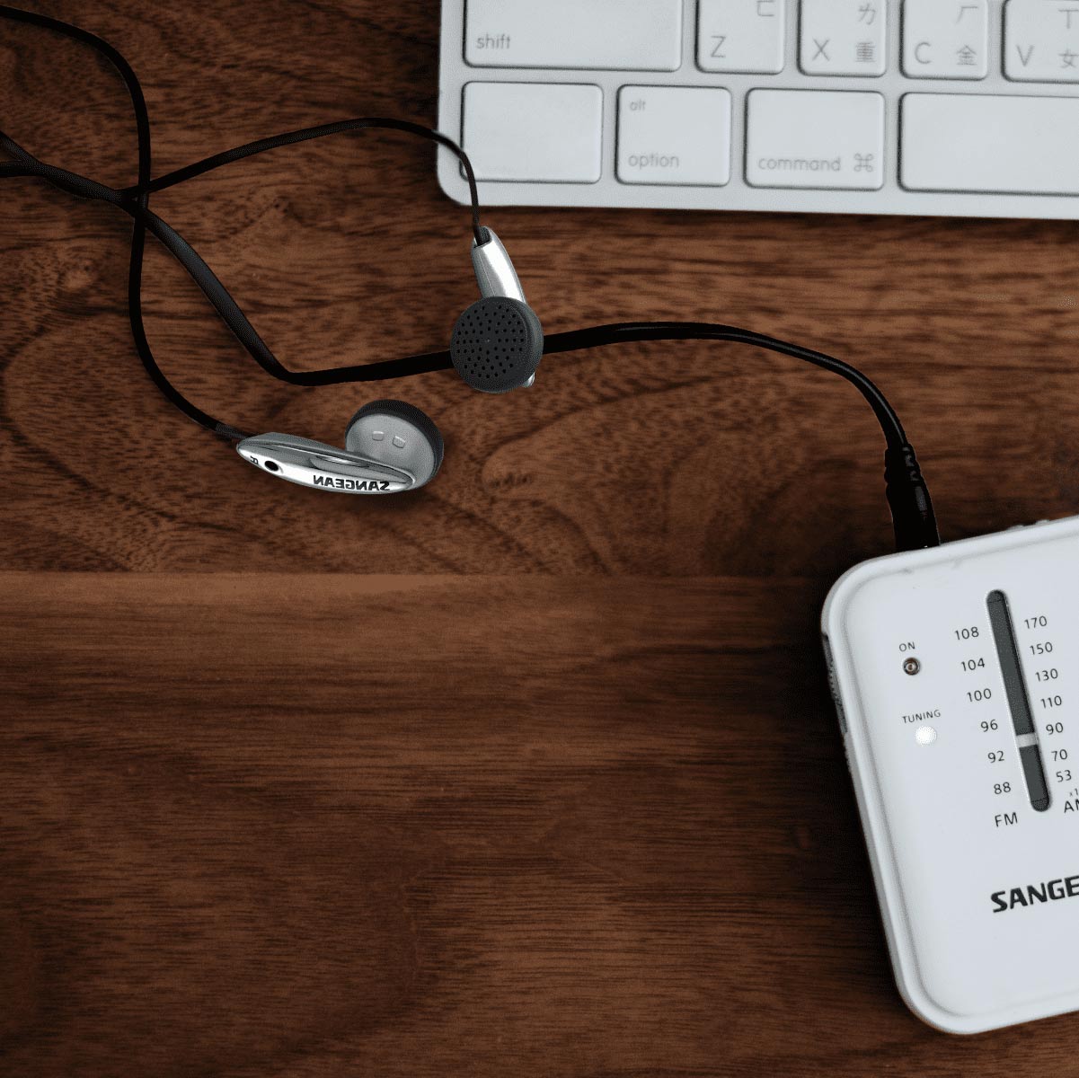 EP-250 Lightweight Stereo Earbuds│SANGEAN Electronics