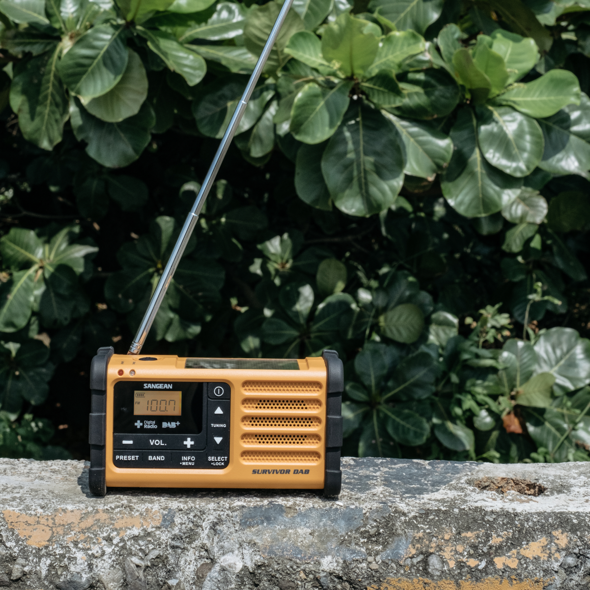  MMR-88 DAB+