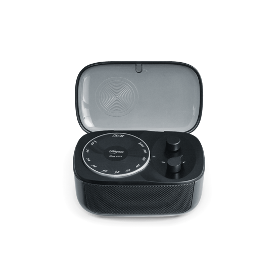 Pandora FM / Bluetooth Music Box Radio│SANGEAN Electronics