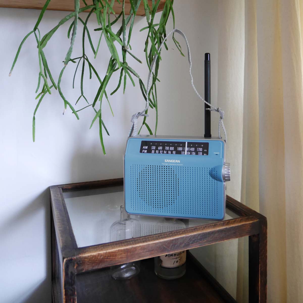 PR-D6 AM / FM Retro Strap Analog Radio│SANGEAN Electronics