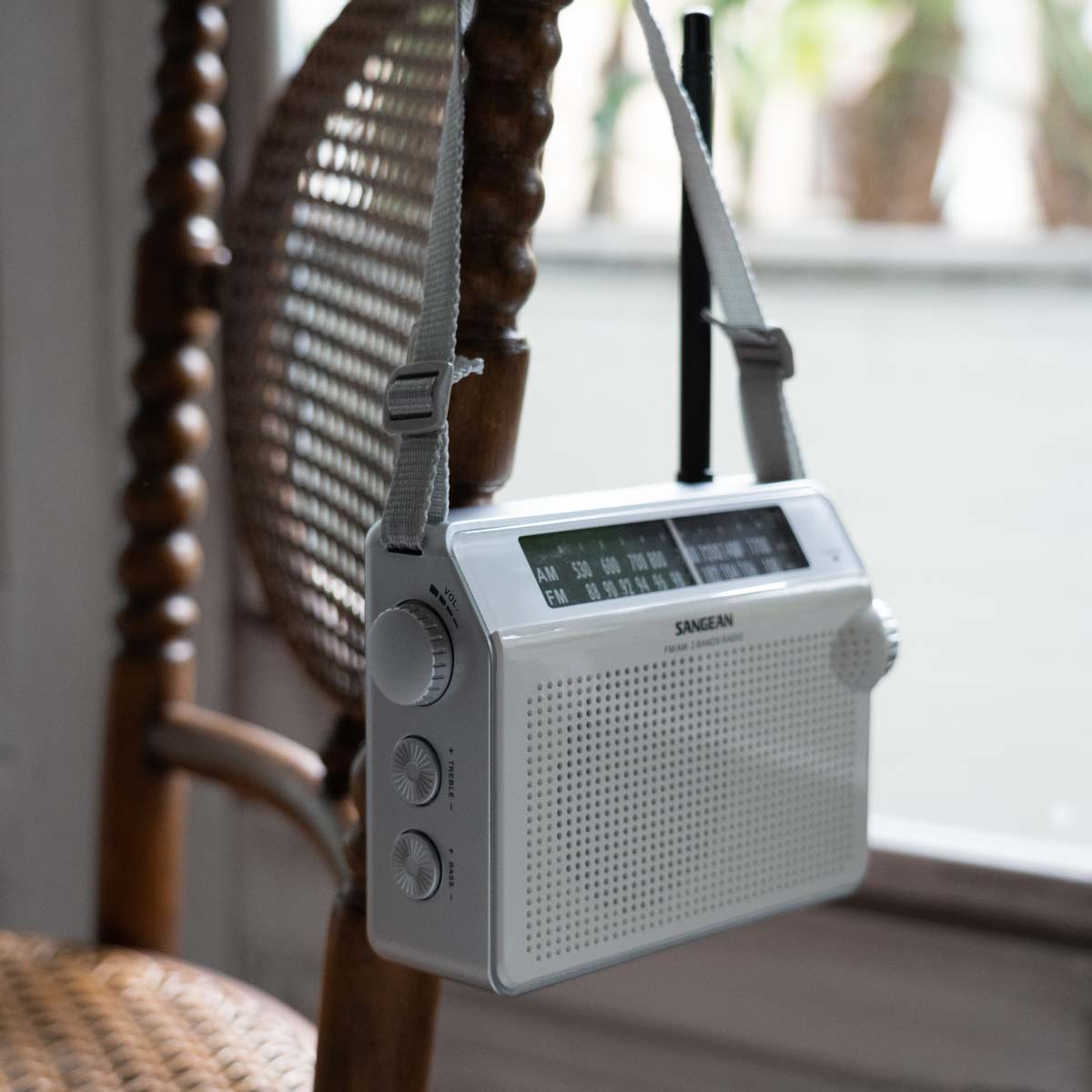 PR-D6 AM / FM Retro Strap Analog Radio│SANGEAN Electronics