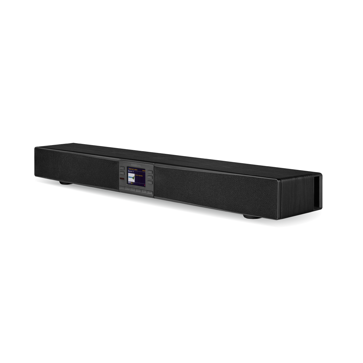 SB-100