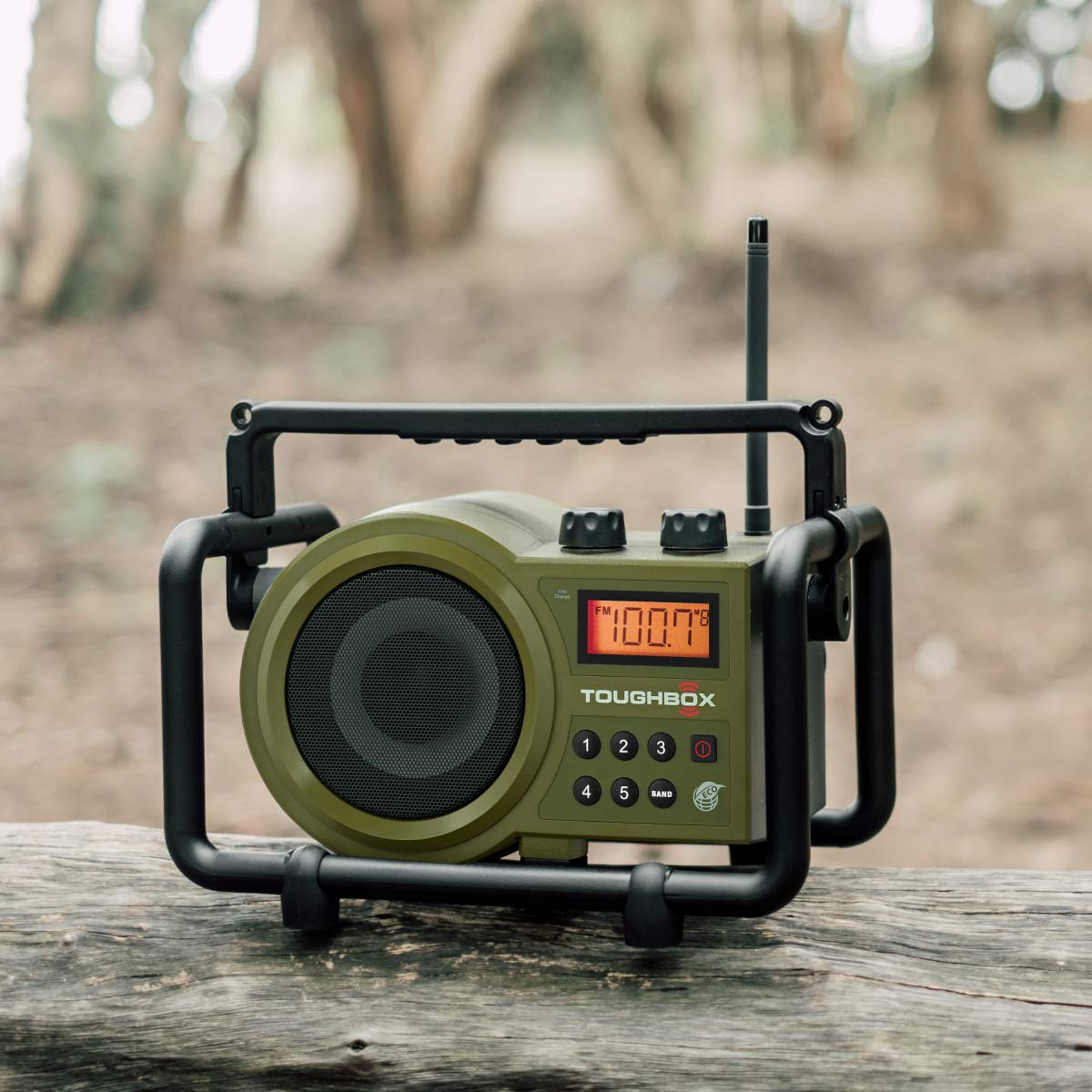 TB-100