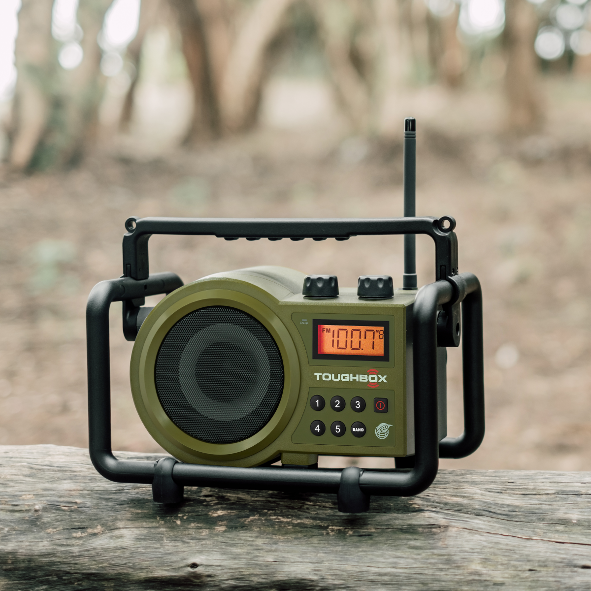  TB-100