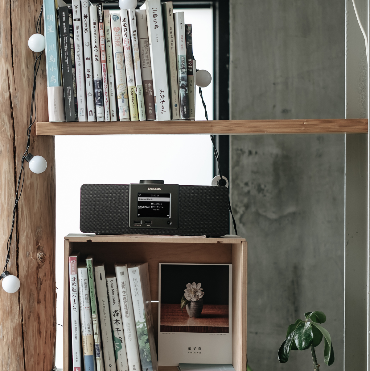 WFR-32 Dark Walnut