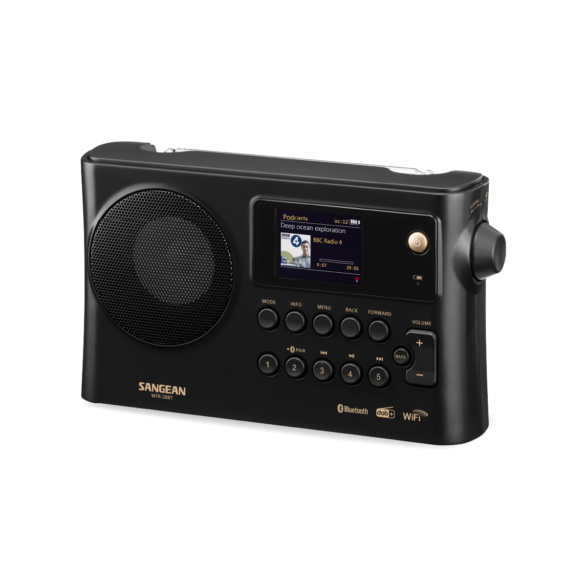  WFR-28BT Black