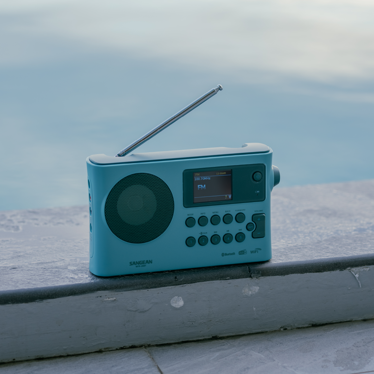  WFR-28BT Light Blue