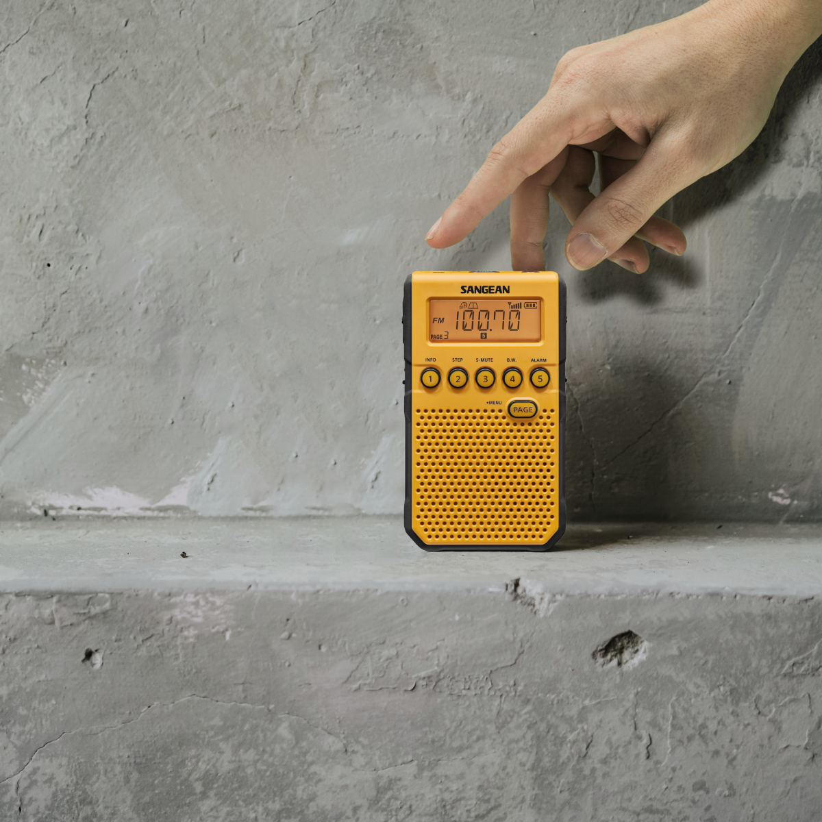  DT-800
