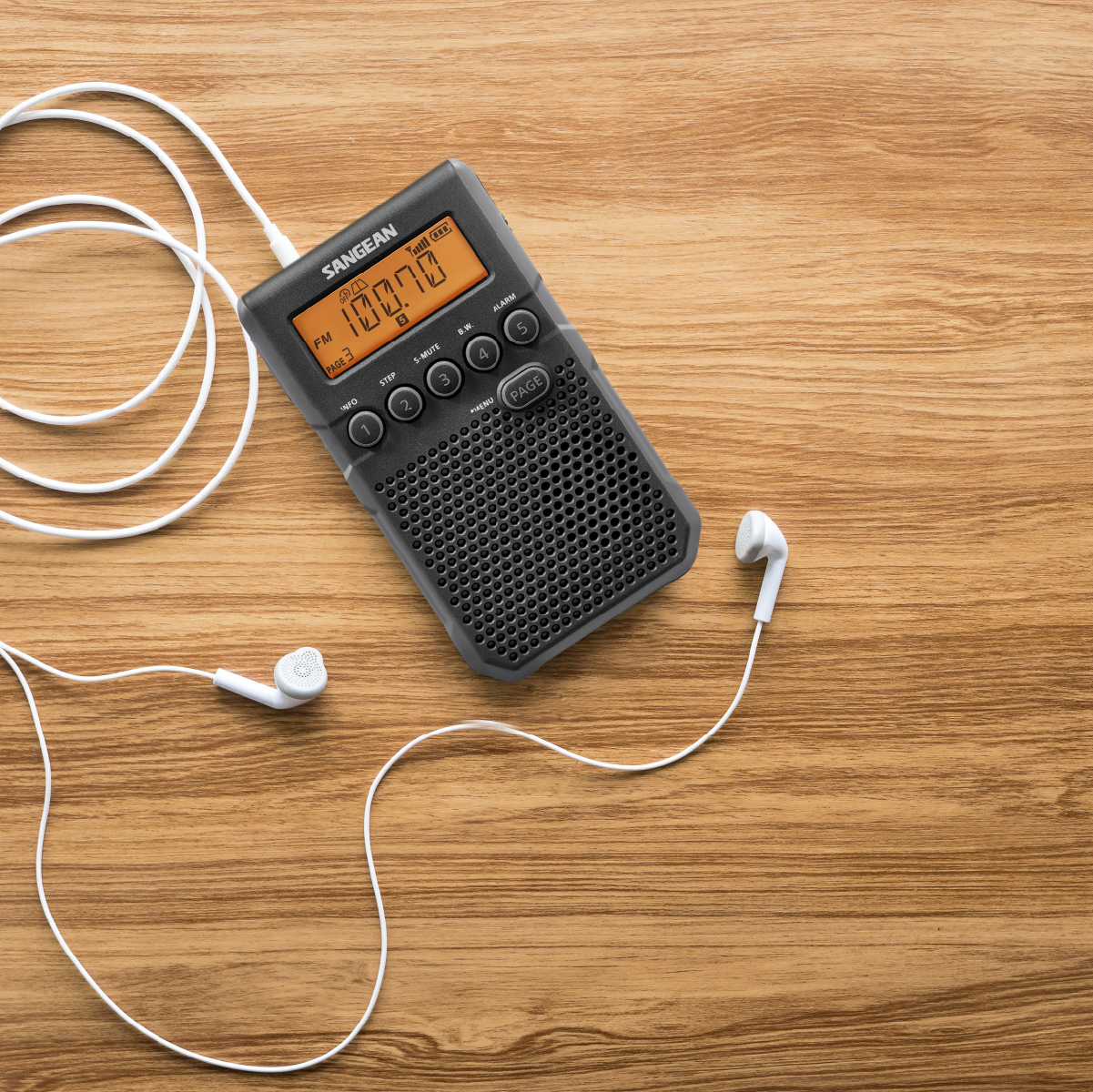  DT-800