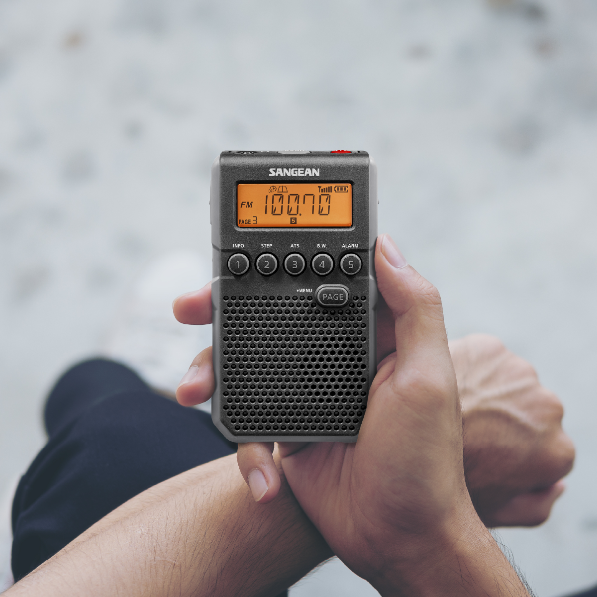  DT-800