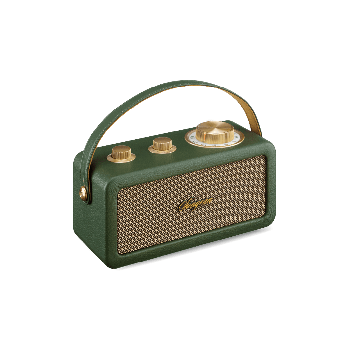 RADIO MINI PORTABLE FM avec Double Antenne | Récepteur Radio de Poche