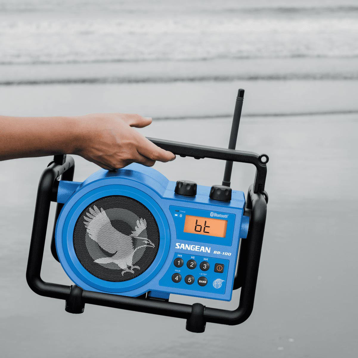 BB-100