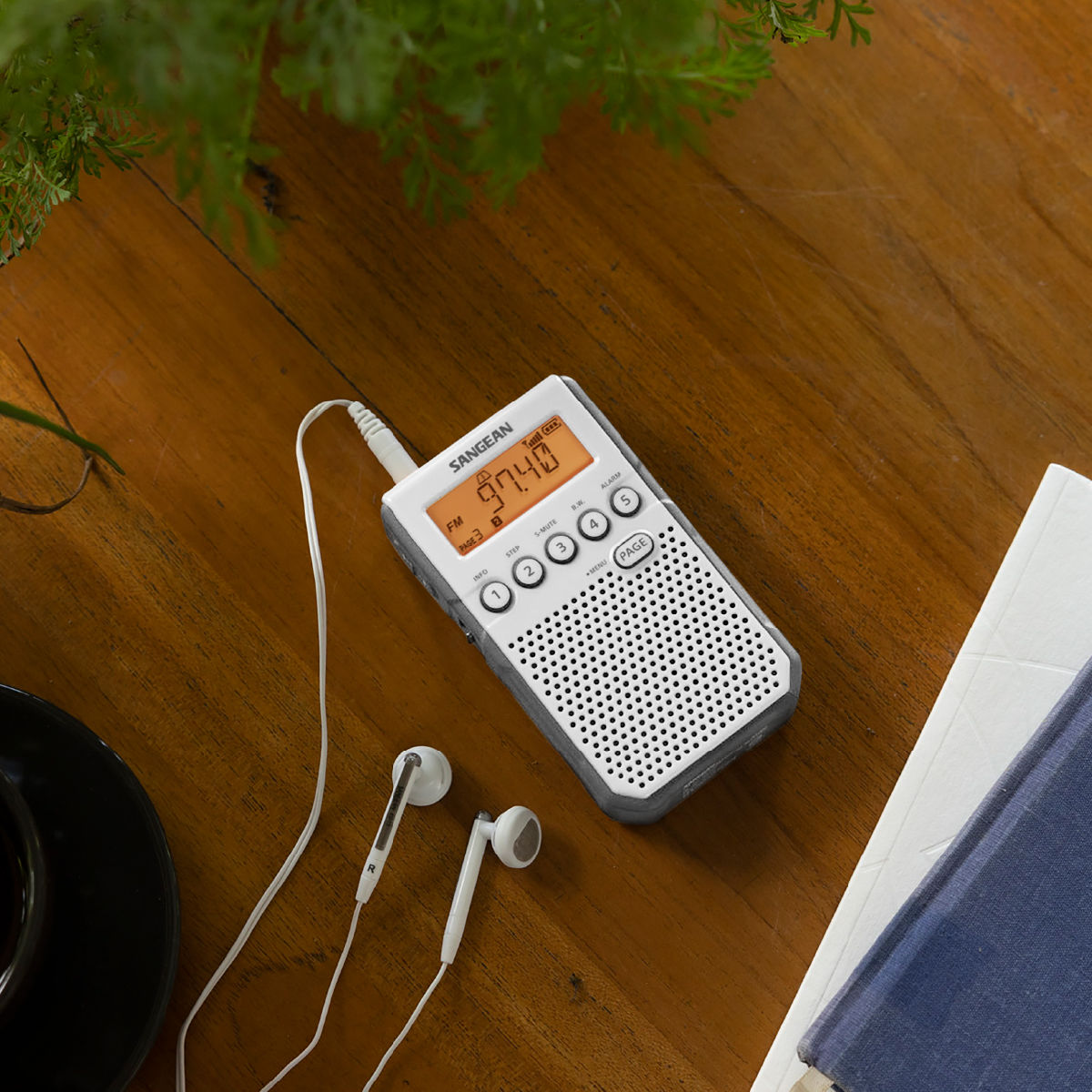 DT-800