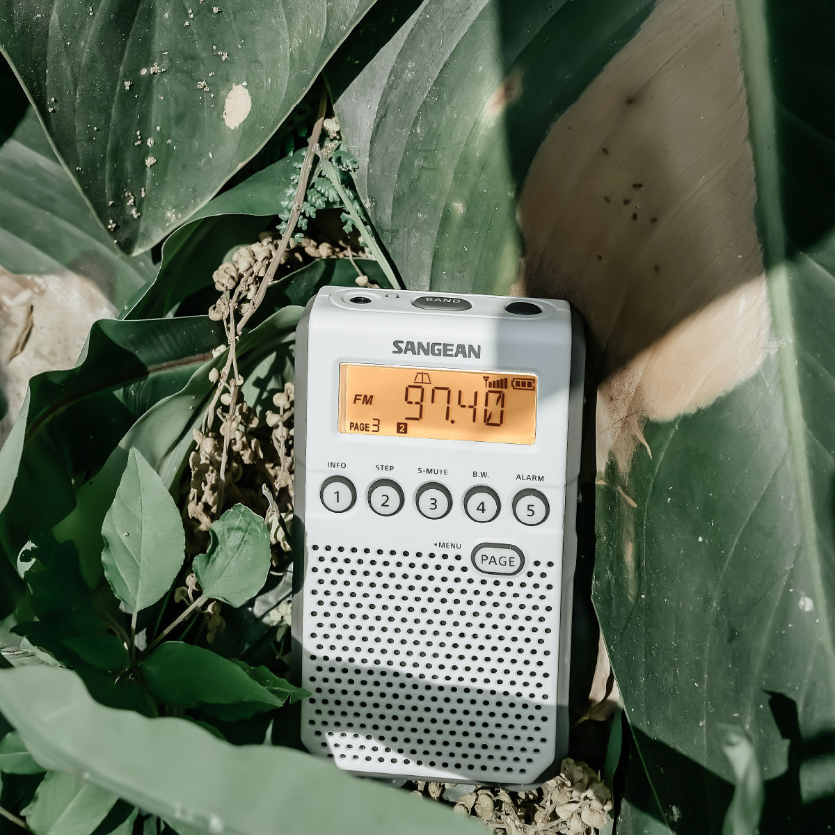 DT-800